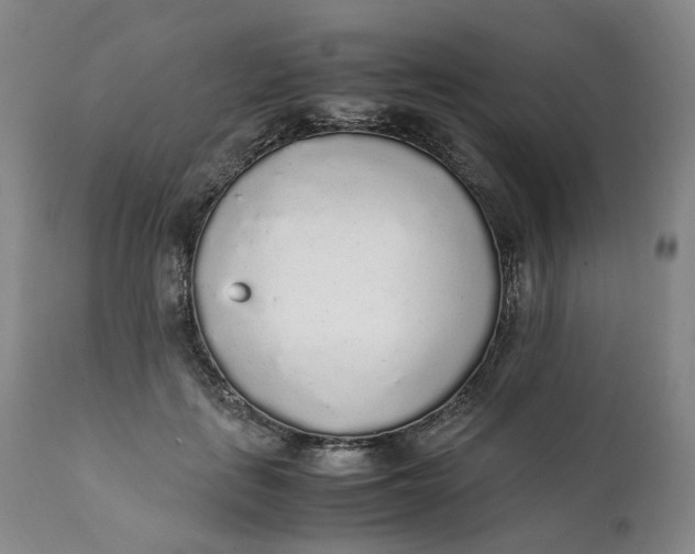 X0000111250651200907161407