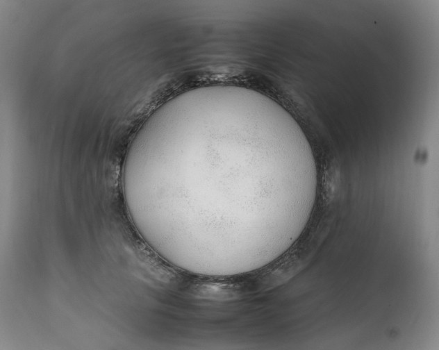 X0000111250657200907161407