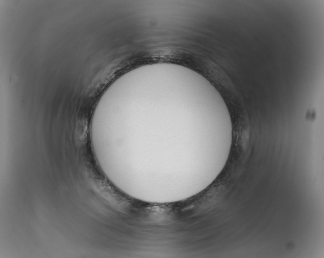 X0000111250660200907161407