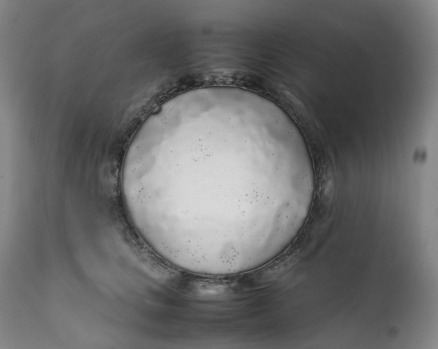 X0000111250661200907161407