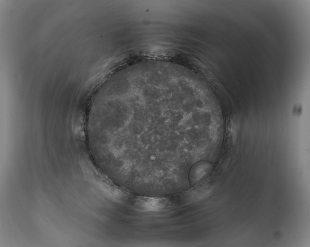 X0000111250663200907161407