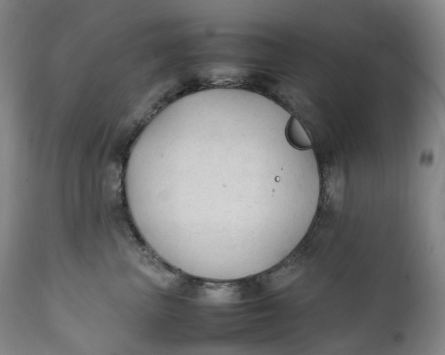 X0000111250667200907161407