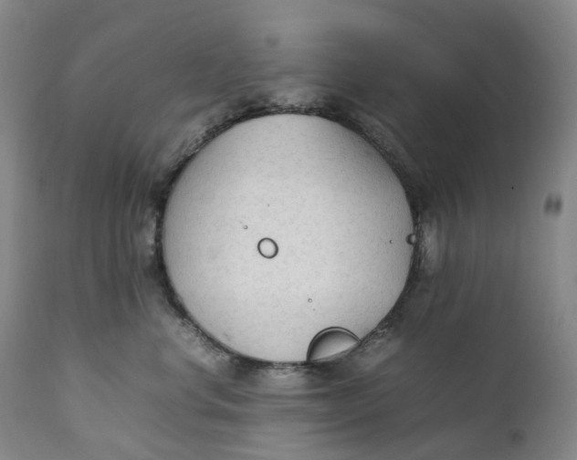 X0000111250668200907161407