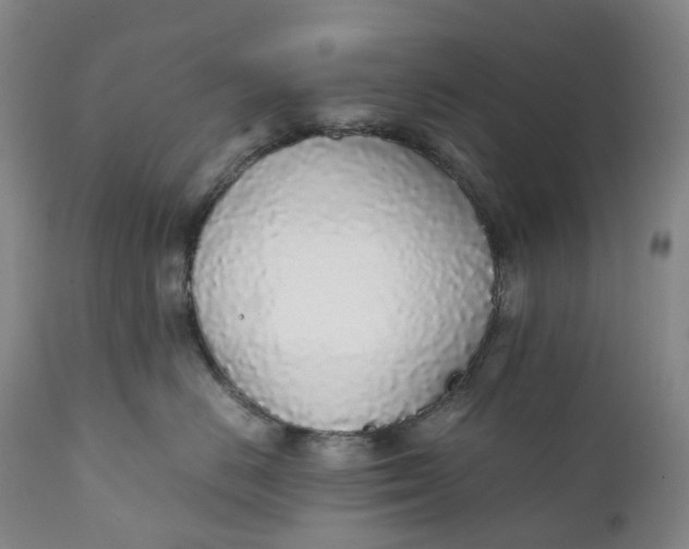 X0000111250670200907161407