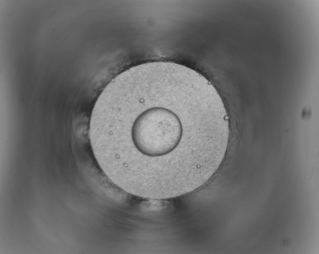 X0000111250672200907161407