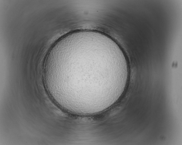 X0000111250673200907161407