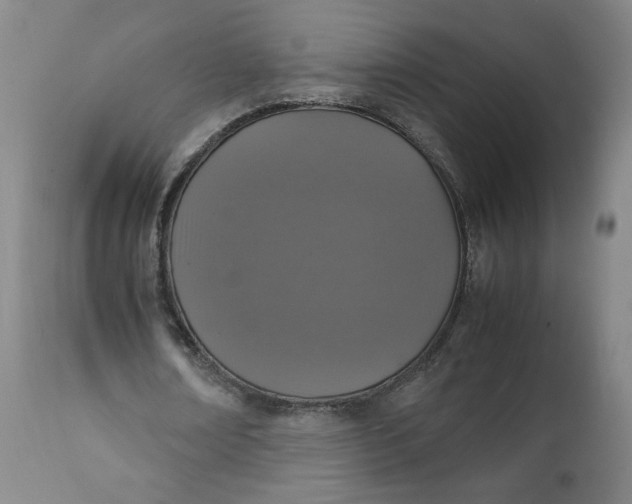 X0000111250674200907161407