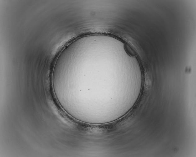 X0000111250677200907161407