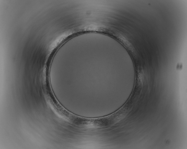 X0000111250678200907161407