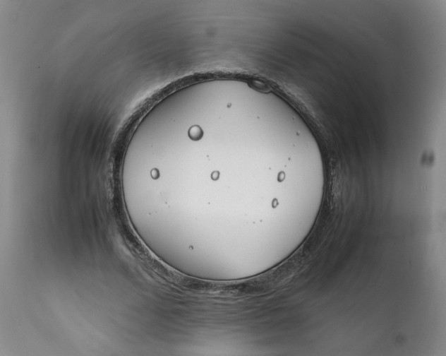 X0000111250680200907161406