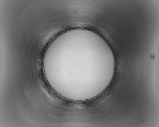 X0000111250683200907161406