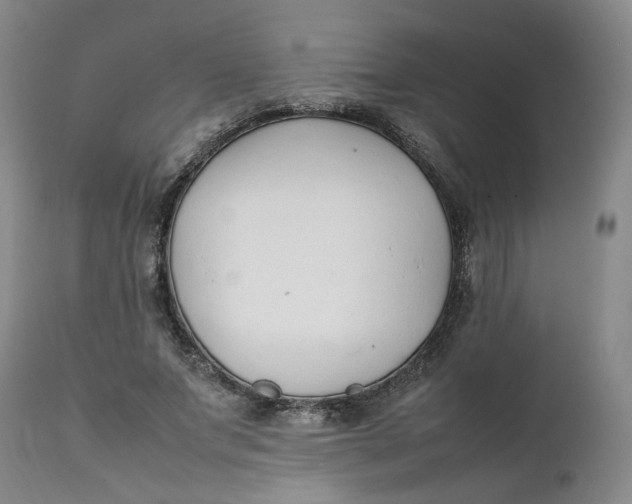 X0000111250687200907161406