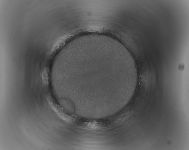 X0000111250688200907161406