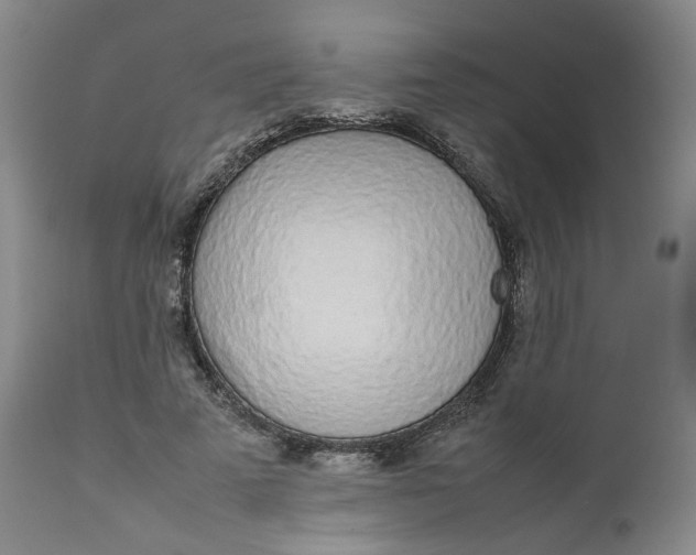 X0000111250689200907161406