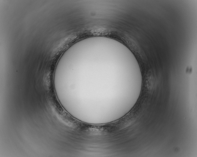 X0000111250690200907161406