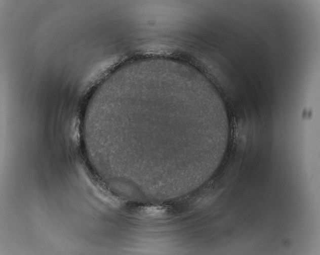 X0000111250692200907161406