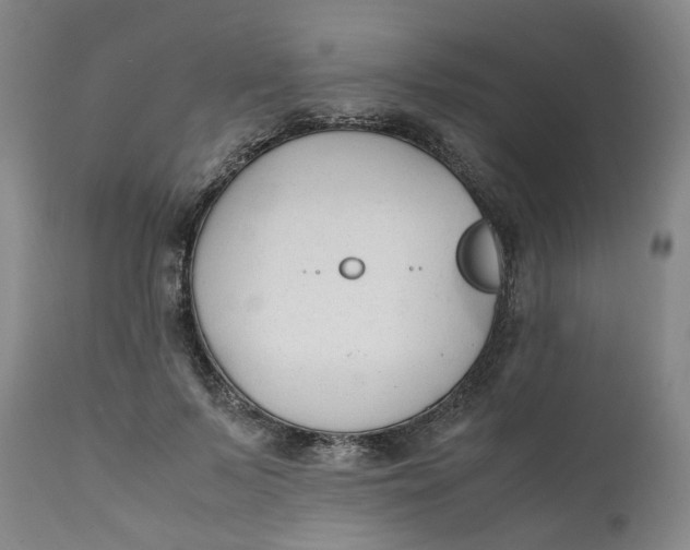 X0000111250695200907161406