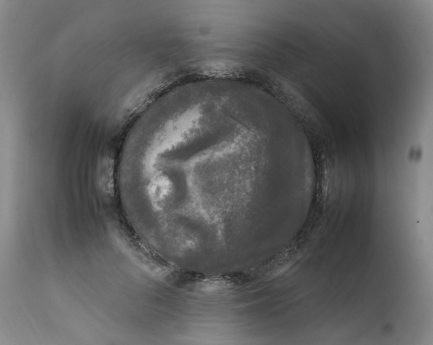 X0000111250696200907161406