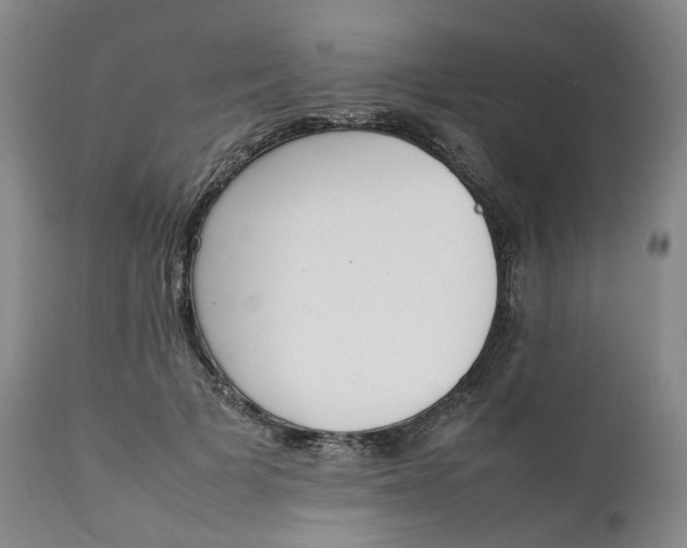 X0000111250697200907161406