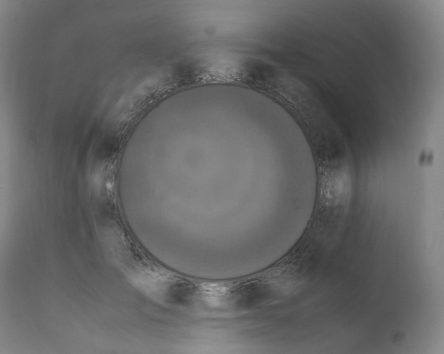 X0000111250701200907161406