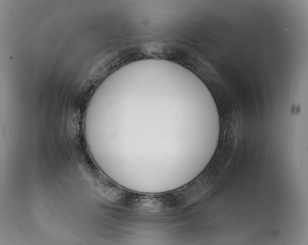 X0000111250702200907161406