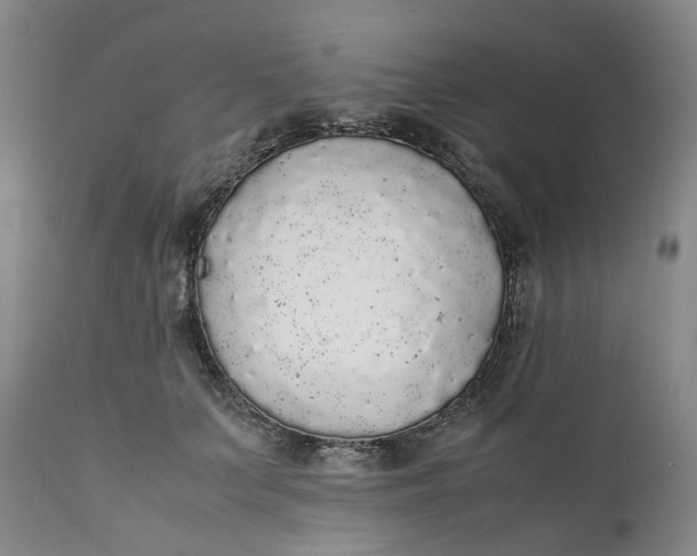 X0000111250703200907161406