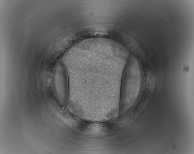 X0000111250704200907161406