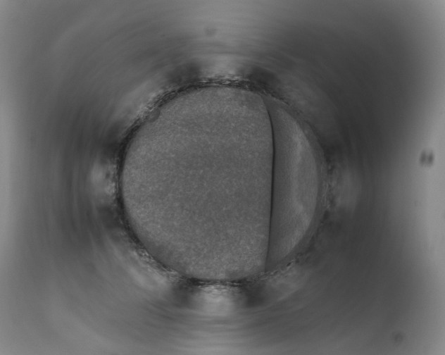 X0000111250708200907161406