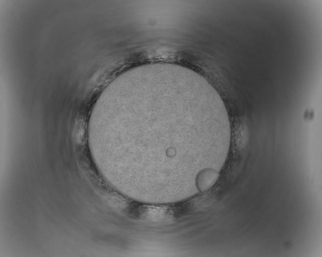 X0000111250709200907161406