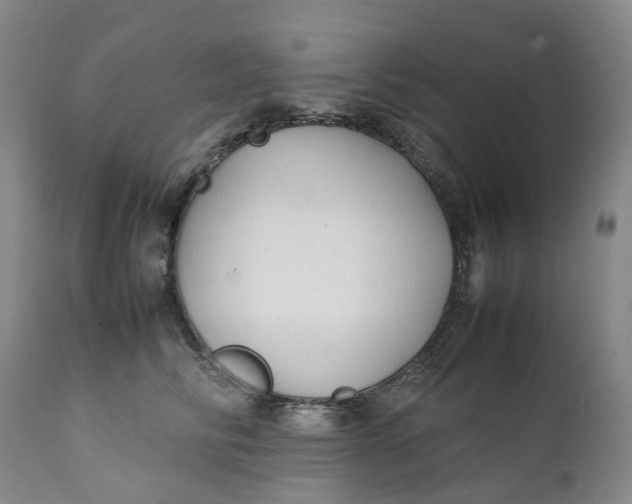 X0000111250710200907161406