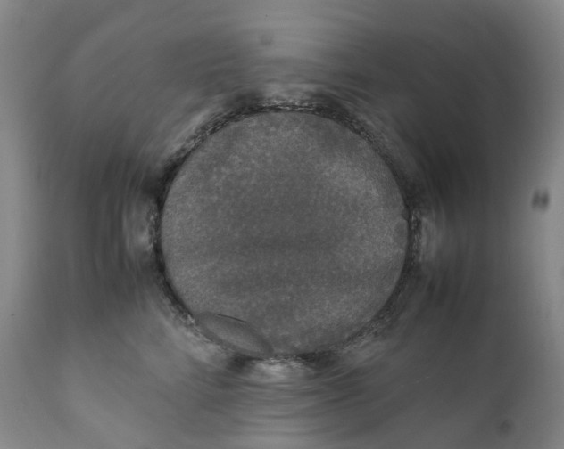 X0000111250712200907161406