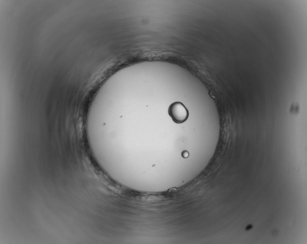 X0000111250716200907161406