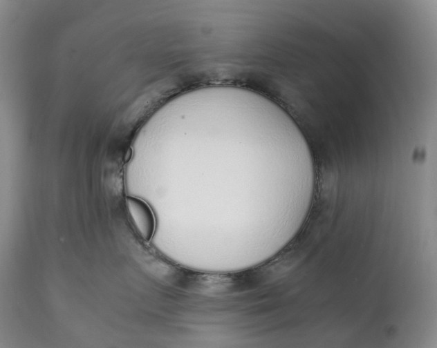 X0000111250719200907161406