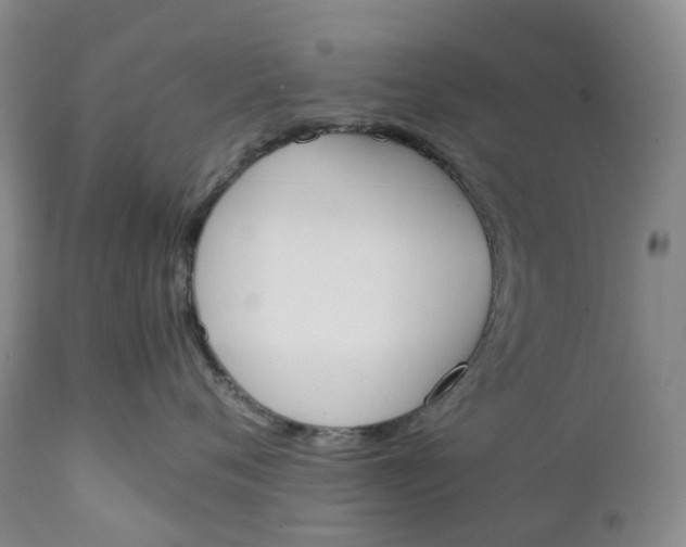 X0000111250720200907161406