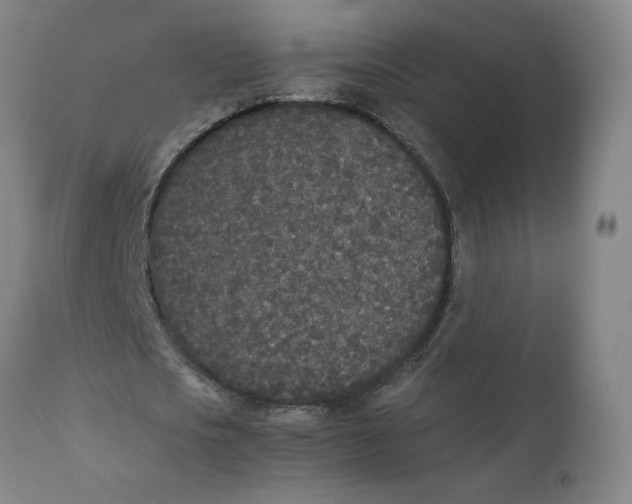 X0000111250721200907161405