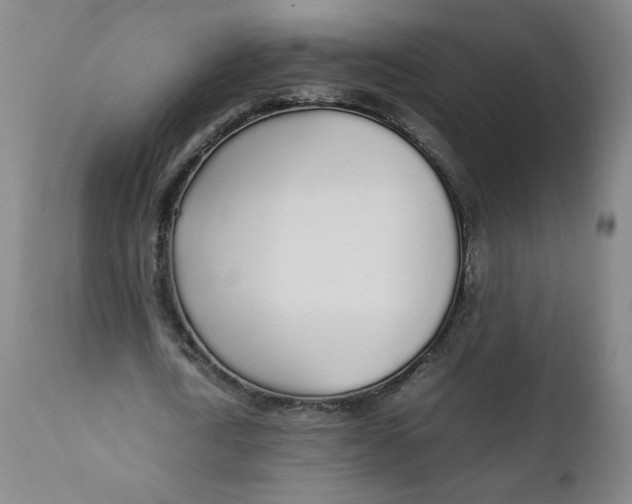 X0000111250722200907161405