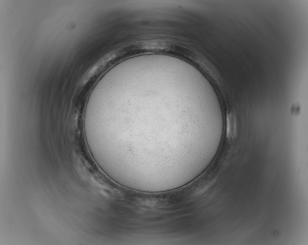 X0000111250723200907161405