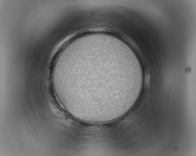 X0000111250724200907161405