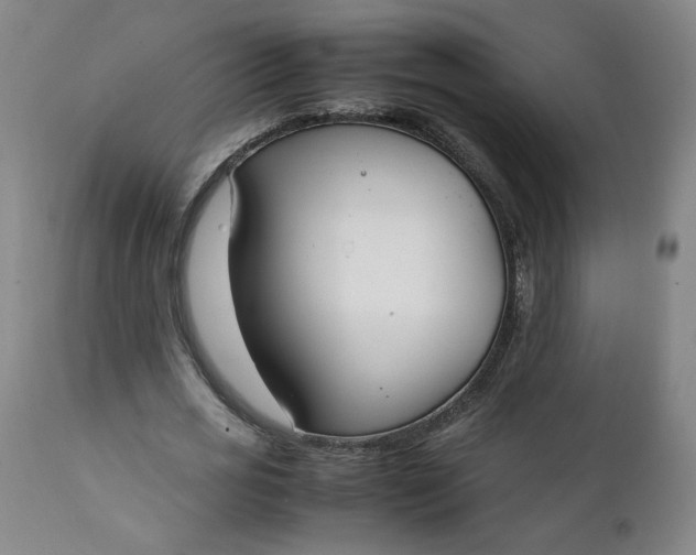 X0000111250725200907161405