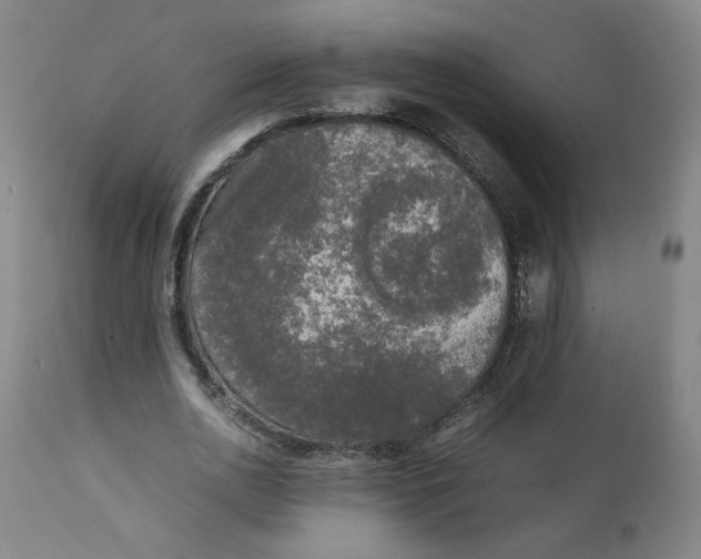 X0000111250726200907161405