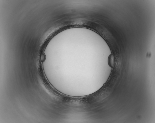 X0000111250728200907161405