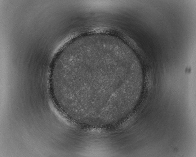 X0000111250730200907161405