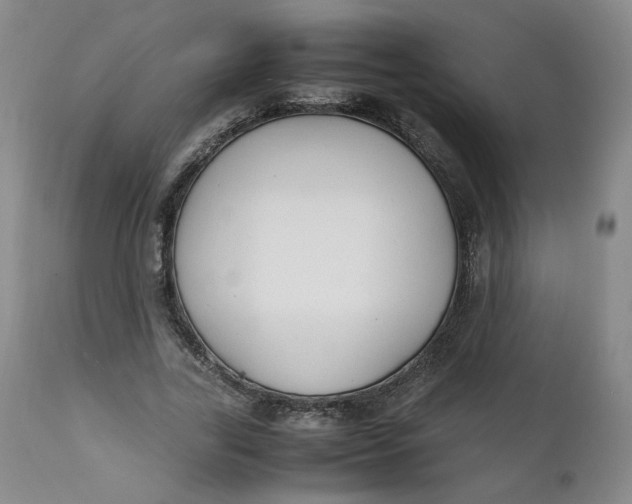 X0000111250731200907161405