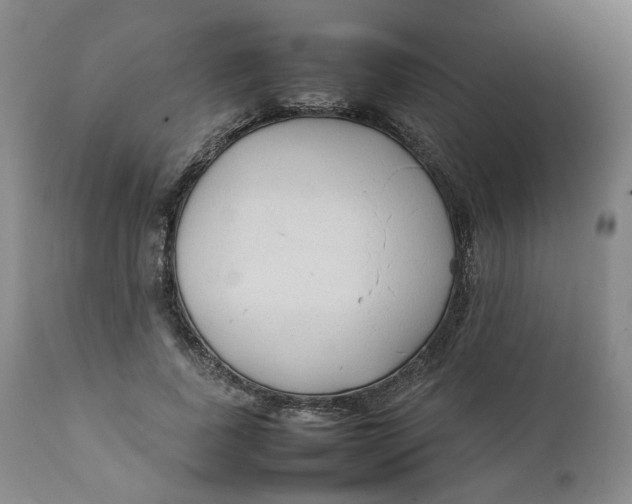 X0000111250739200907161405