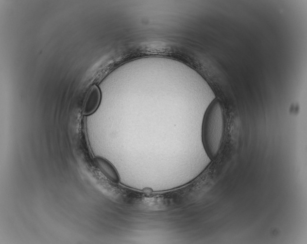 X0000111250744200907161405