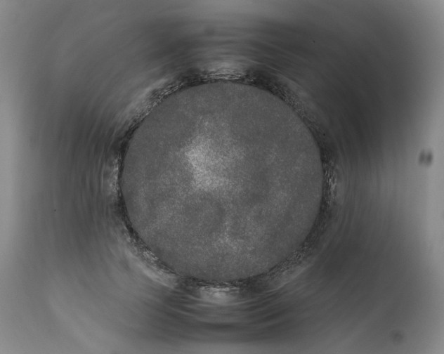 X0000111250745200907161405