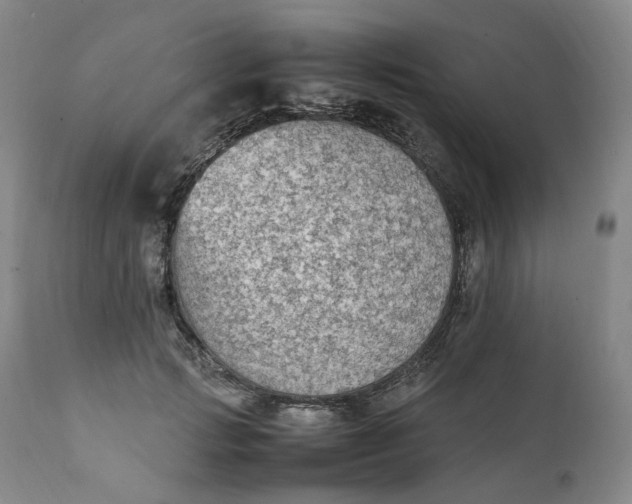 X0000111250749200907161405