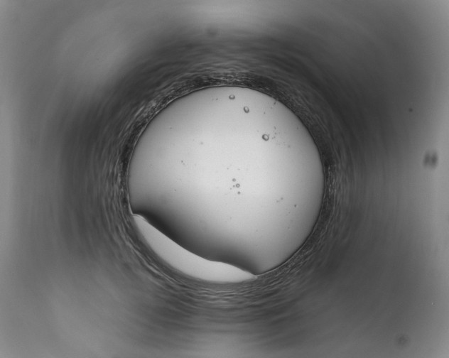 X0000111250752200907161406