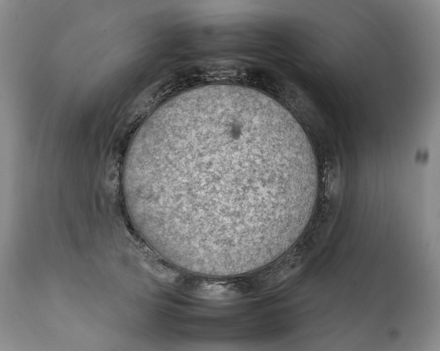 X0000111250753200907161406