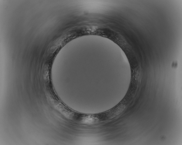 X0000111250754200907161406